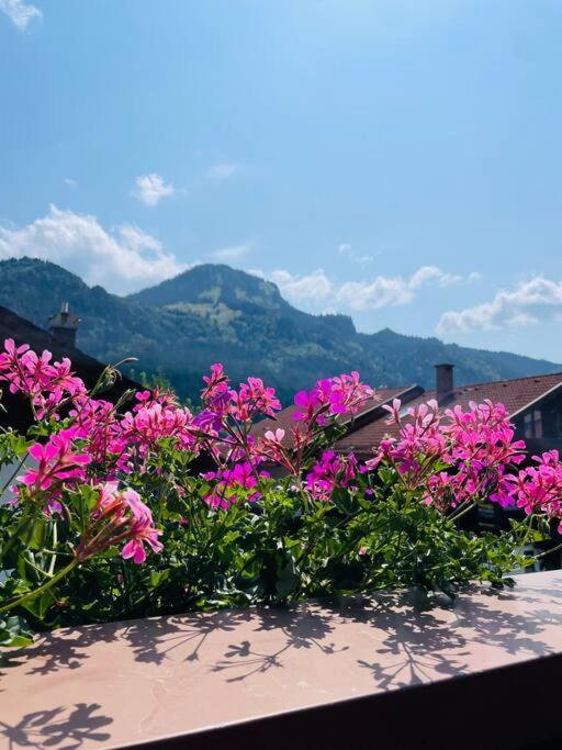 Ferienwohnung Berge, Wandern, Erholung Pur! Fewo Tinka-Haus Katja Bad Hindelang Exterior foto