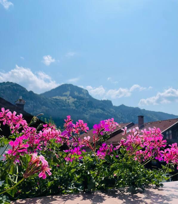 Ferienwohnung Berge, Wandern, Erholung Pur! Fewo Tinka-Haus Katja Bad Hindelang Exterior foto